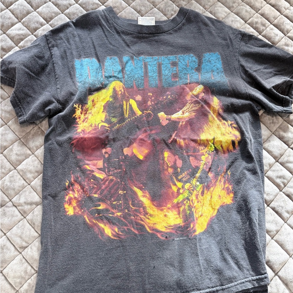 Pantera Black Graphic Band Tee with Fiery Print